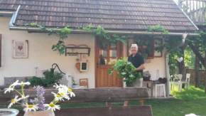 Herzlhof Rupp, Spielfeld, Österreich, Spielfeld, Österreich